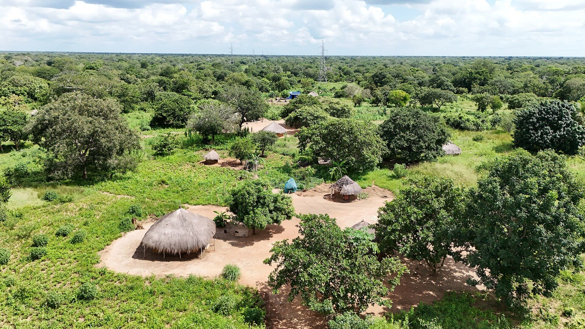 Aerial view of round thatched houses among trees in a Mozambican village